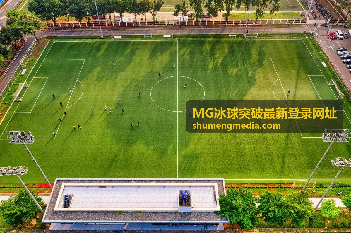 MG冰球突破平台更新后的功能亮点